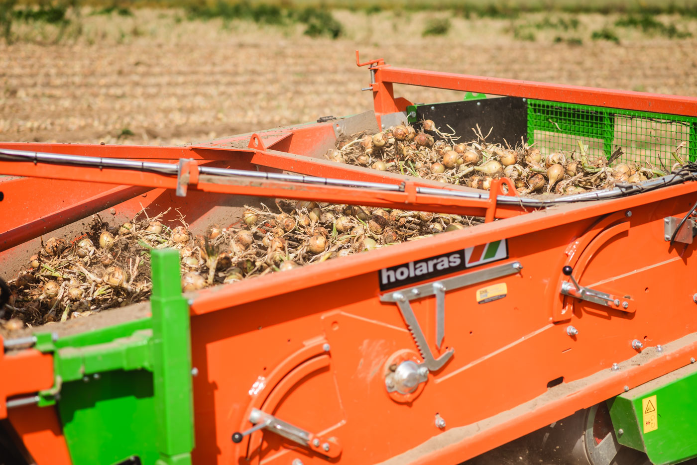 rooias zwiebelroder windrower zwadlegger schwadleger spijlenband Uien zwadlegger Onion harvester Onion digger Schwadleger Uienmachine rooimachine uienoogst zwiebelernte onion leaf mower