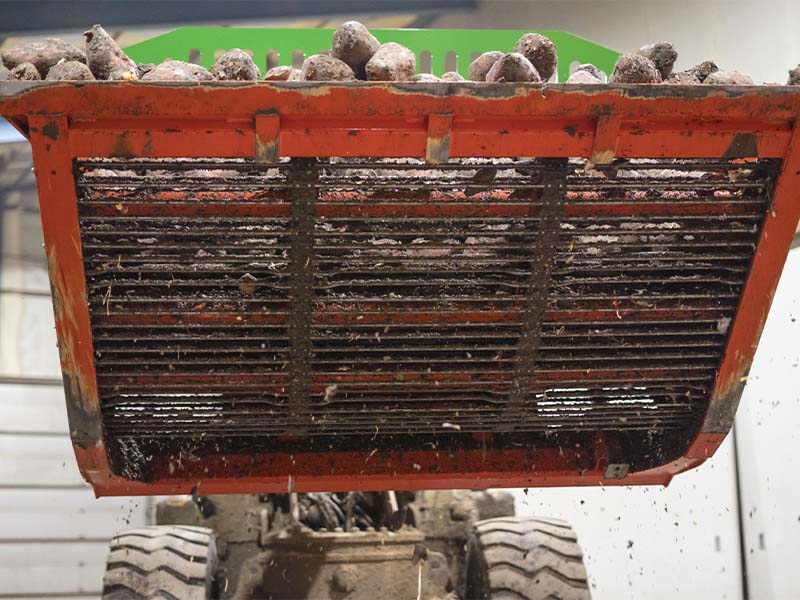 beetcleaner rübenreiniger bietreiniger bietenbak